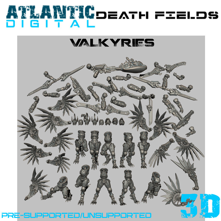 Death Fields Valkyries image