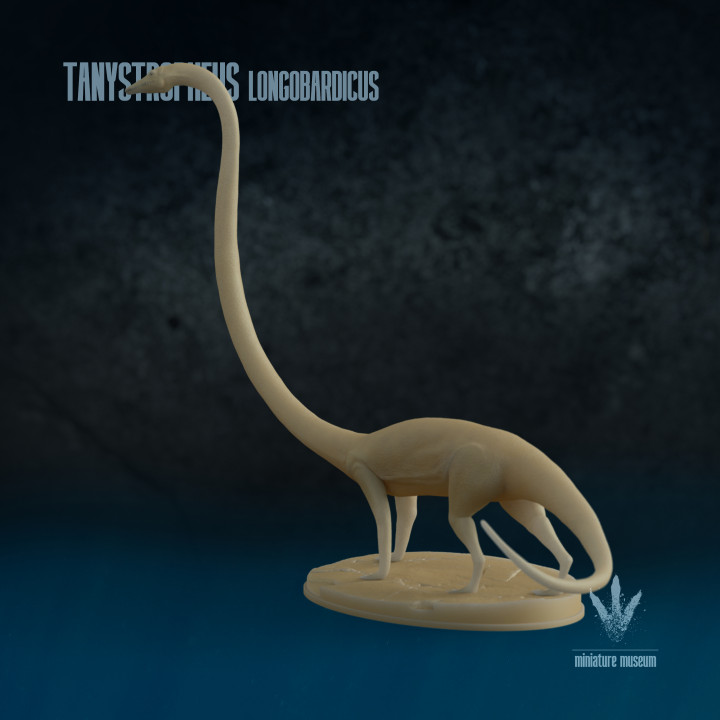 Tanystropheus longobardicus: The Long necked Reptile image