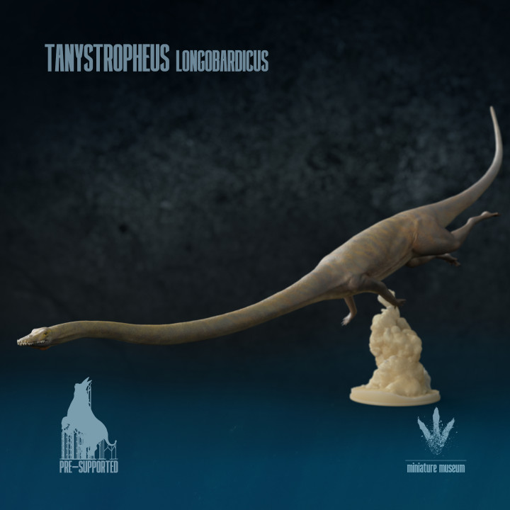 Tanystropheus longobardicus: Swimming image