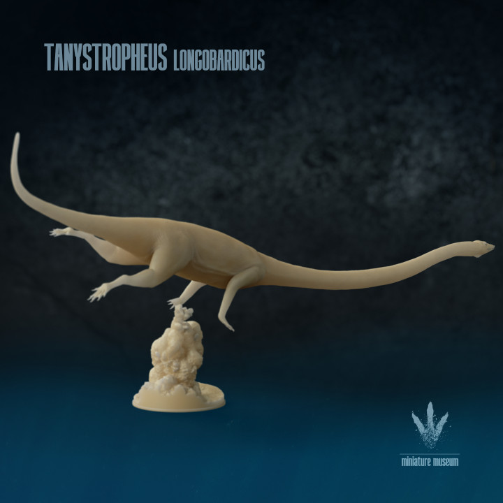 Tanystropheus longobardicus: Swimming image