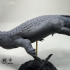 Purussaurus brasiliensis : Swimming print image