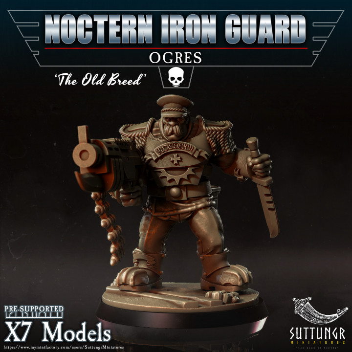 Noctern Iron Guard - Ogres