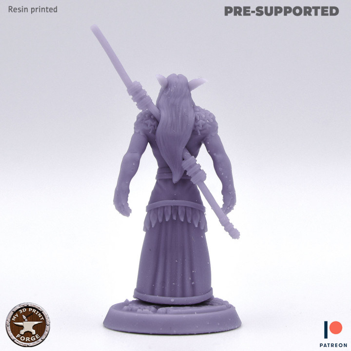 Low Gear Elf Druid TWO MODELS image