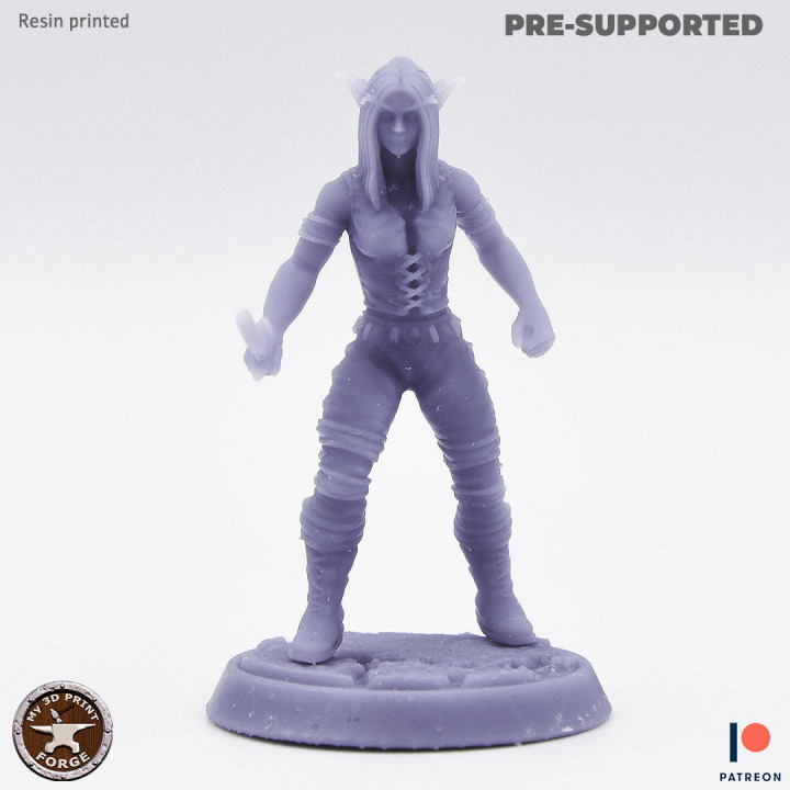 Low Gear Female Warrior Rogue TWO MODELS