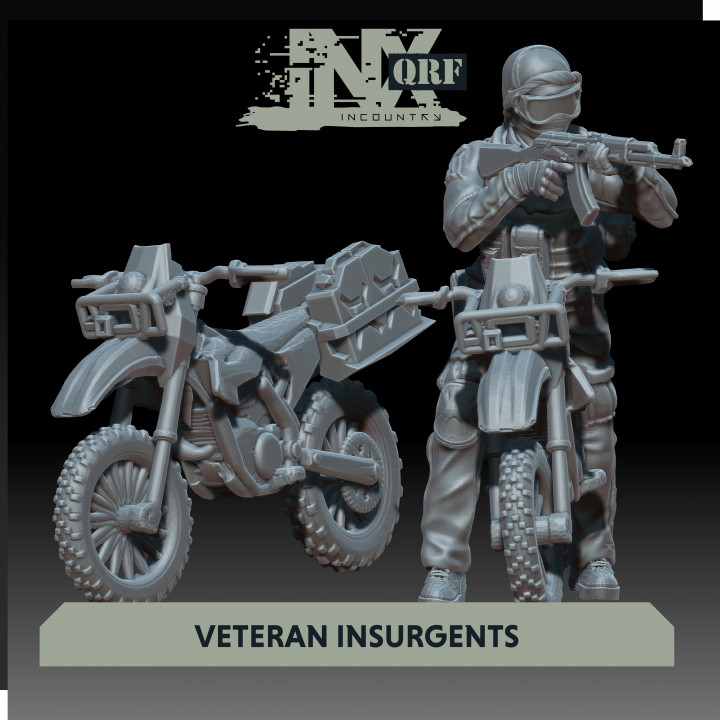 INX:QRF MARCH VETERAN INSURGENTS image