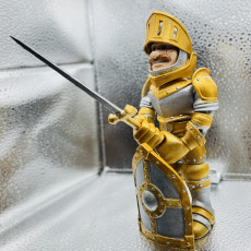 Picture of print of Public Release: Flexi Factory Knight