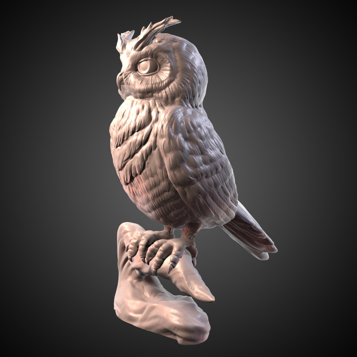 Owl image