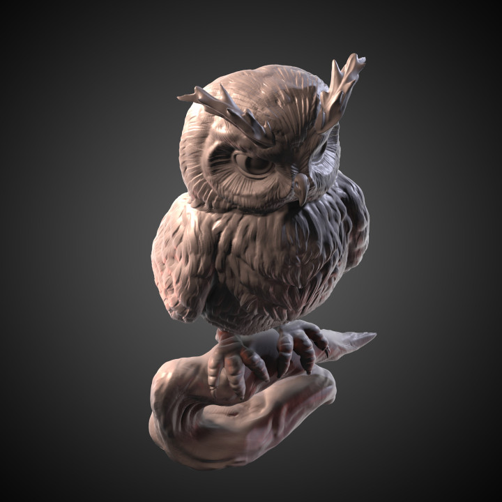 Owl image
