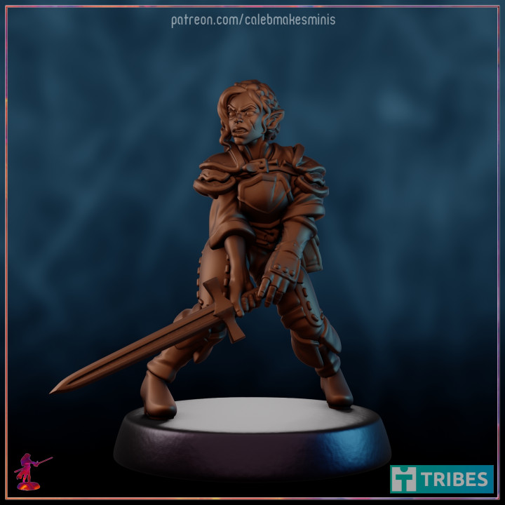 Bronze Elf Series [PRE-SUPPORTED] | Complete Collection - February 2023 image