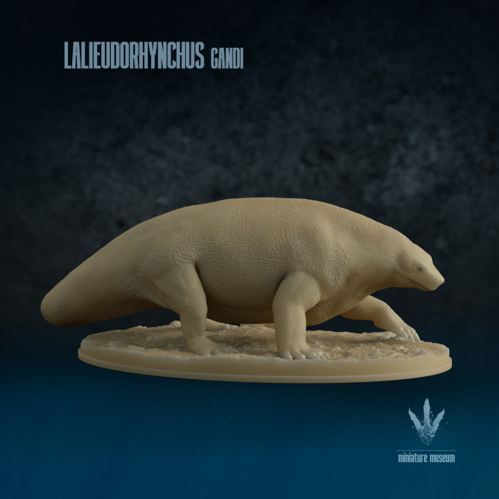 Lalieudorhynchus gandi : The Permian Hippo-like Synapsid