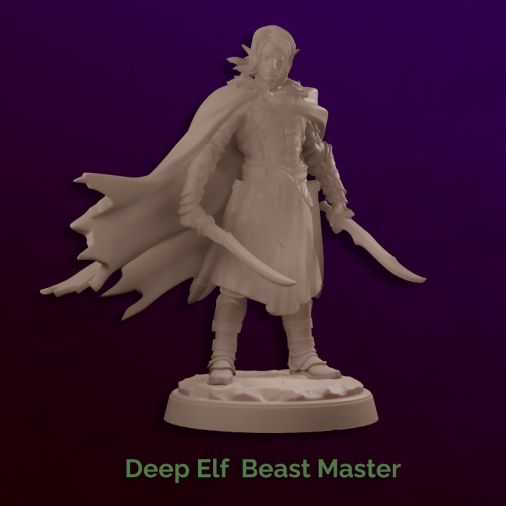 Deep Elf  Beast Master - Drow Ranger