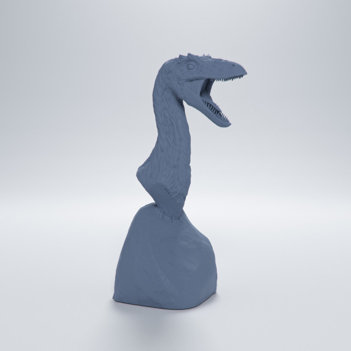 Troodon bust - pre-supported dinosaur head image