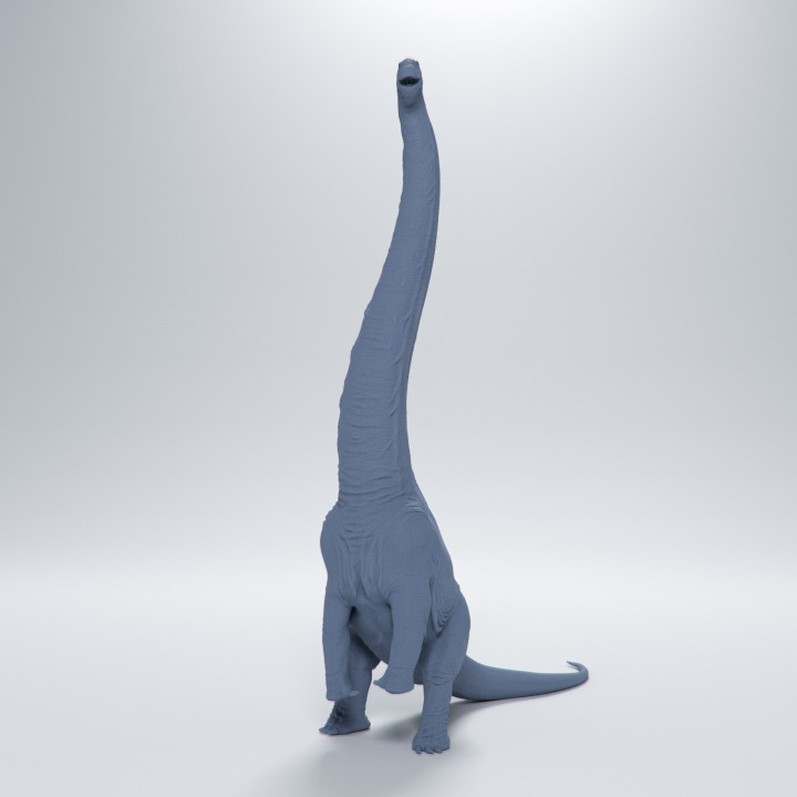 Dreadnoughtus rear up 1-72 scale pre-supported dinosaur image