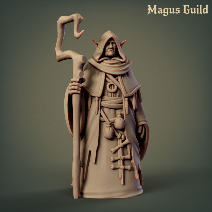 Old Female Elf, Wizard - MG2.1 image