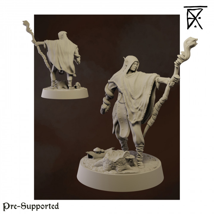 Druid Graudian I