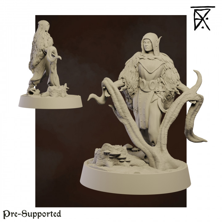 Druid Graudian III
