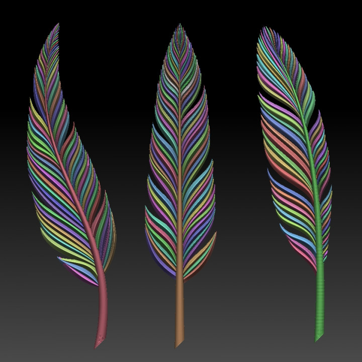 Feathers image