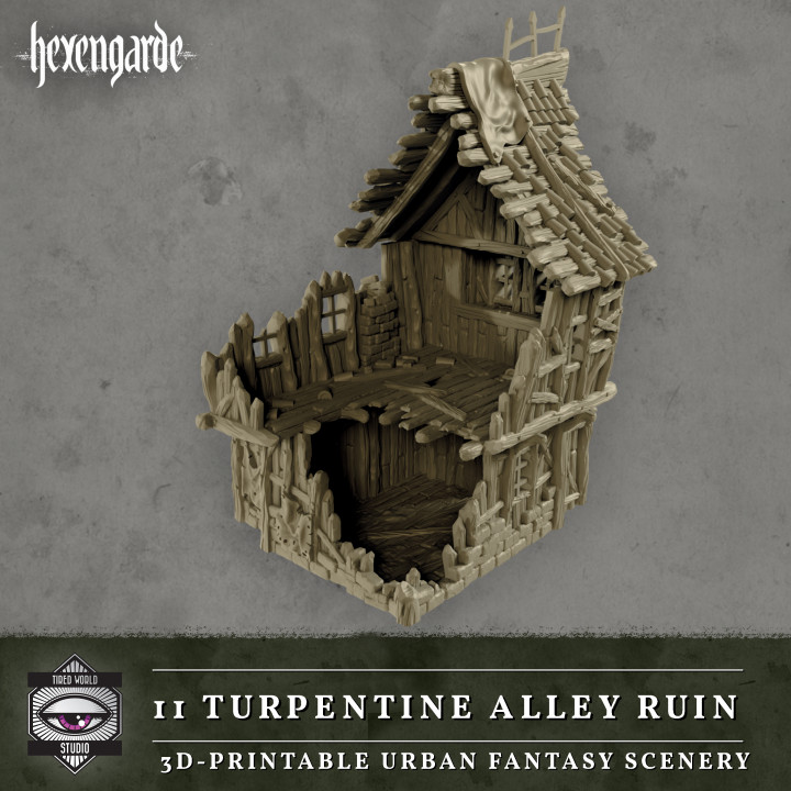 11 Turpentine Alley Ruin image