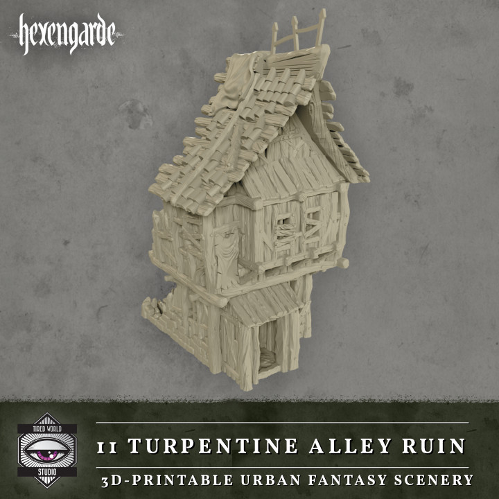 11 Turpentine Alley Ruin image