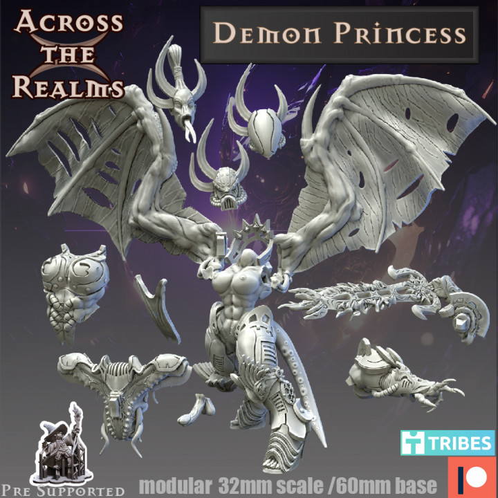 Demon Princess image