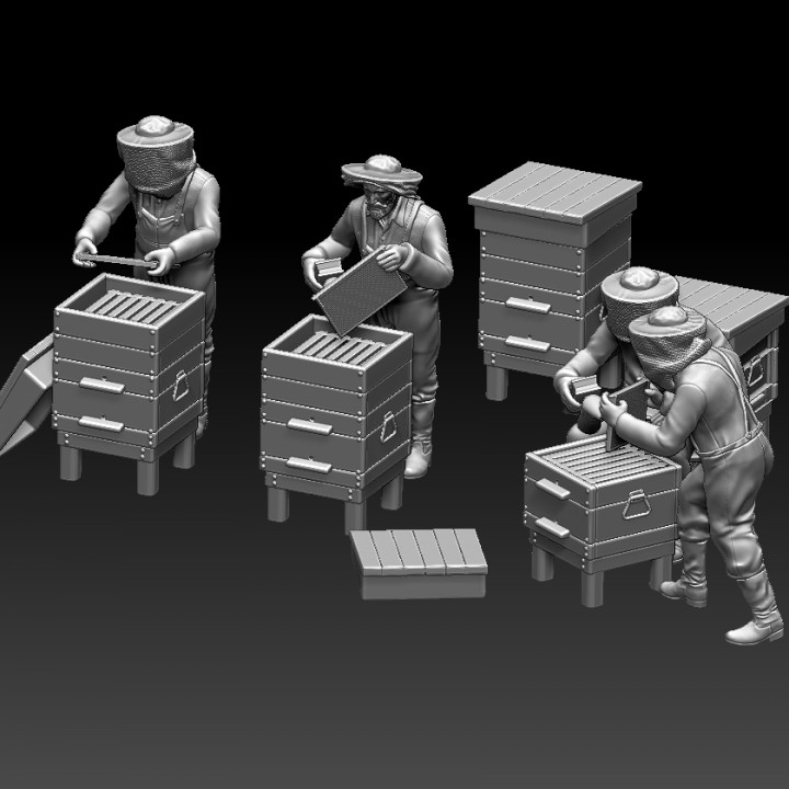 apiary and beekeepers image