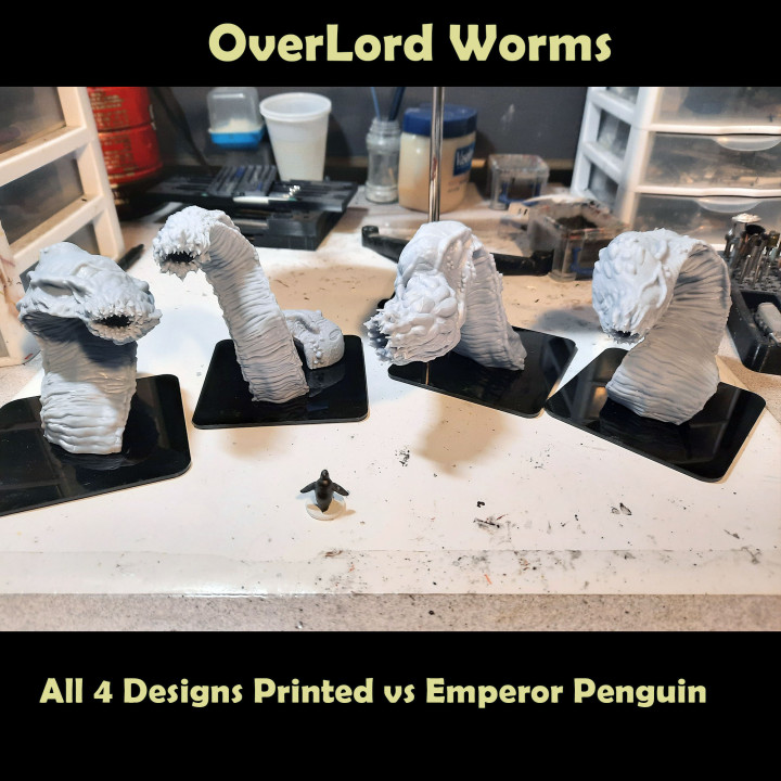 OverLord Worms -Complete Set image