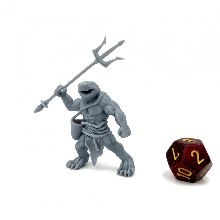 Sharkfolk Leader