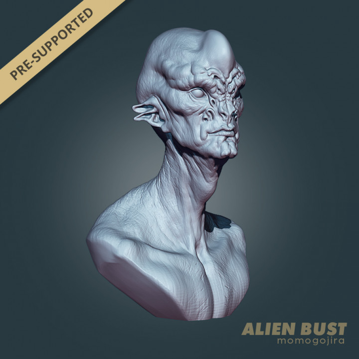 Alien Bust image
