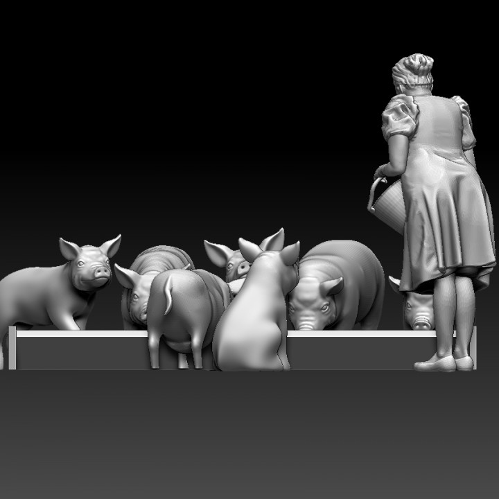 woman and pigs image