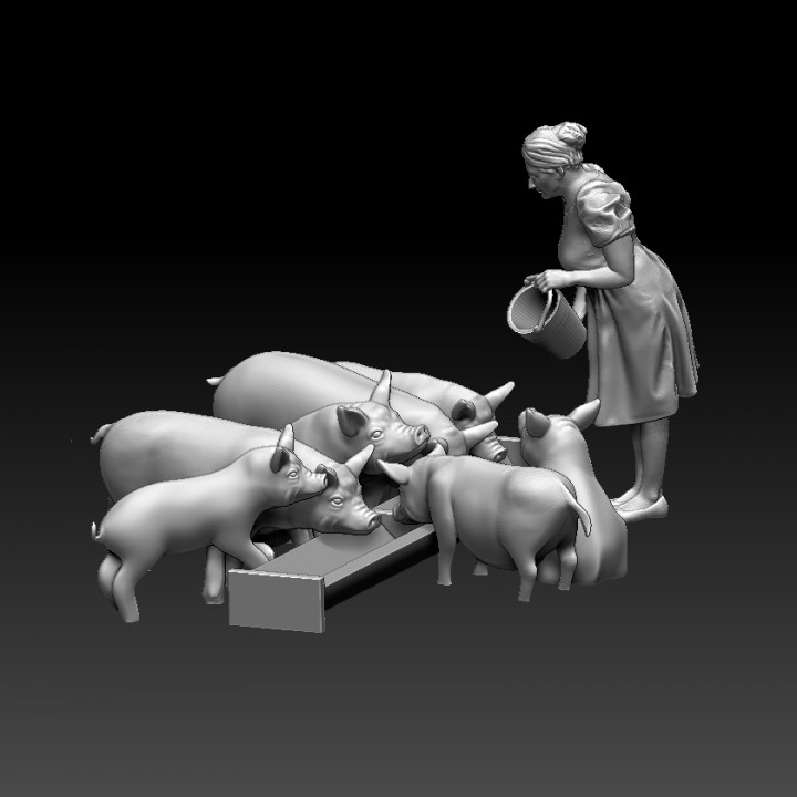 woman and pigs image