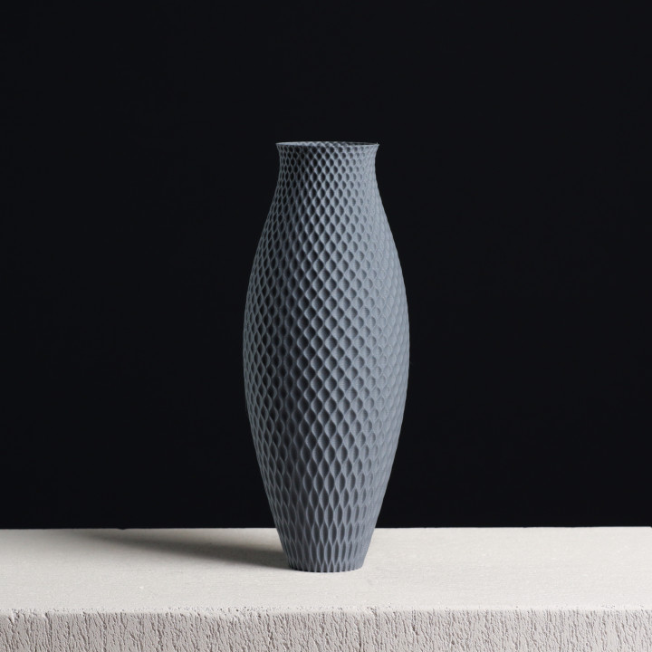Generative Bulb Vase for Dried Flowers, (vase mode) image