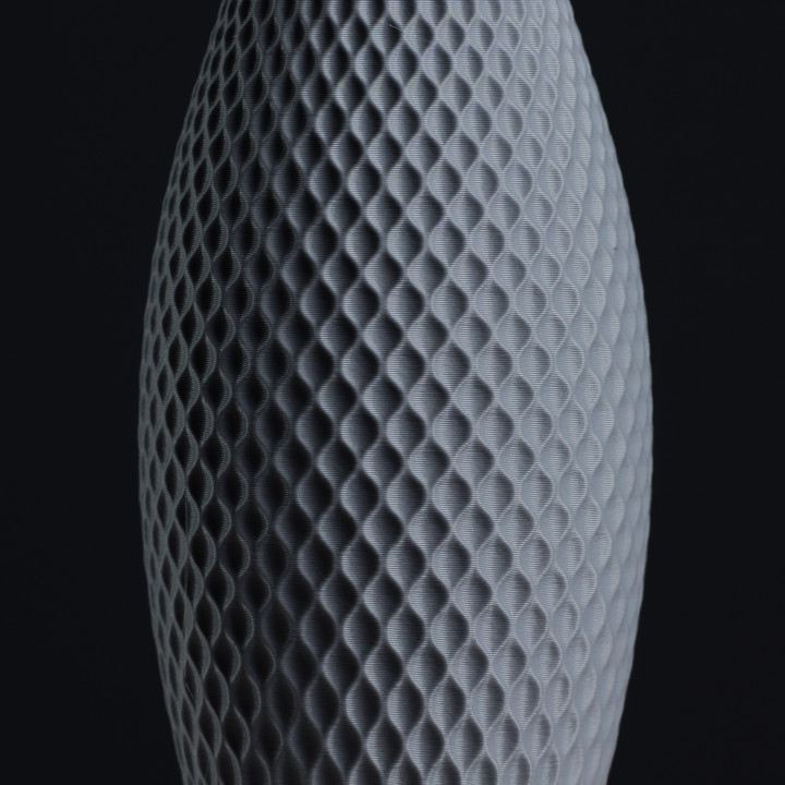 Generative Bulb Vase for Dried Flowers, (vase mode) image