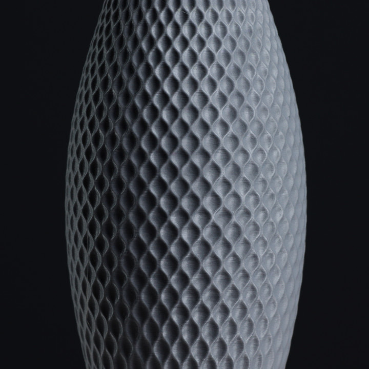 Generative Bulb Vase for Dried Flowers, (vase mode)