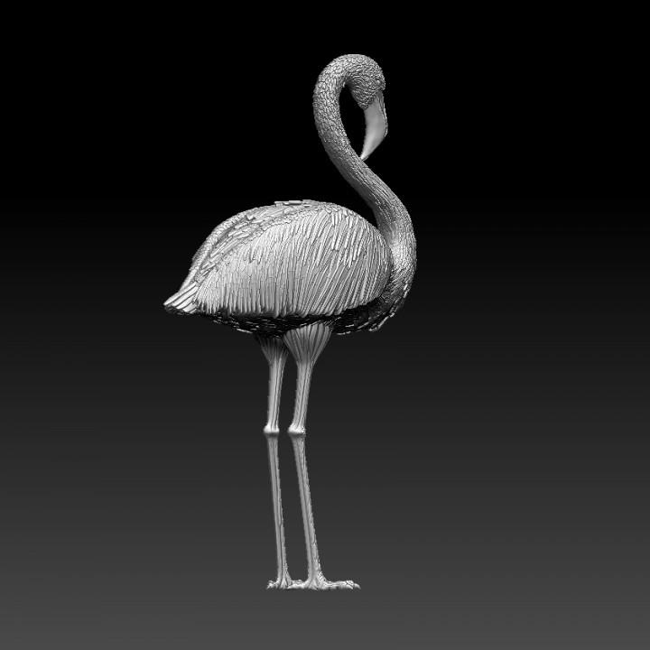 3D Printable flamingos by 3Dimontis 3D Printable flamingos by 3Dimontis