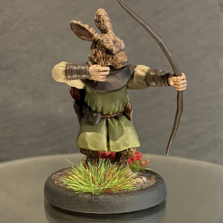 Rogue Rabbit archer image