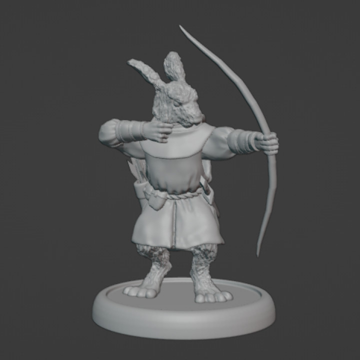 Rogue Rabbit archer image