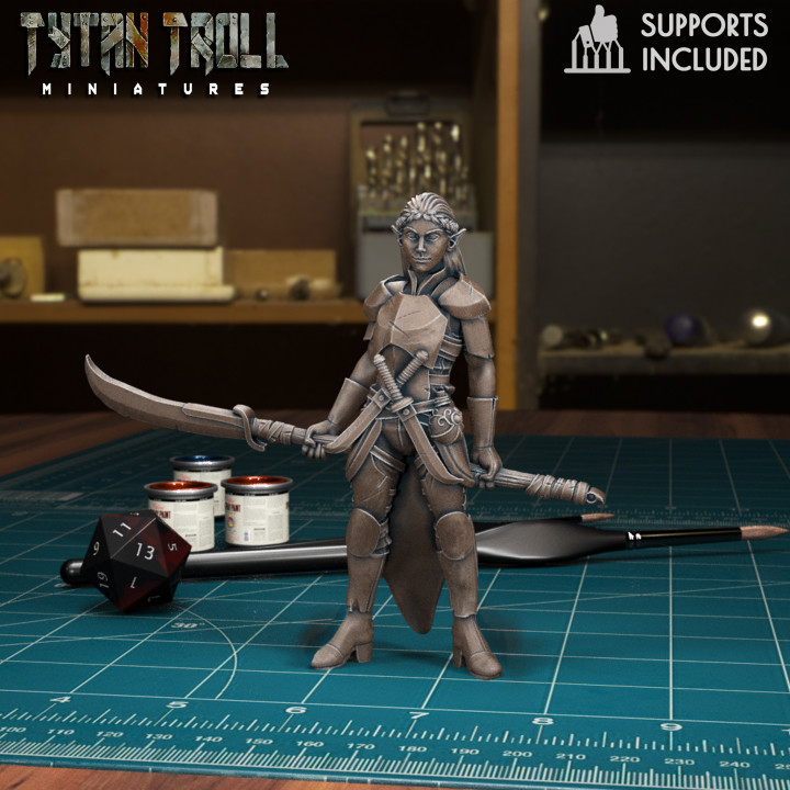 3d Printable Dnd Heroes Elf Fighter Female [pre Supported] By