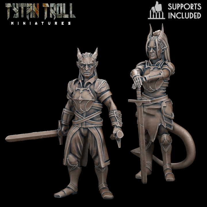 DnD Heroes Tiefling Fighters [Pre-Supported]