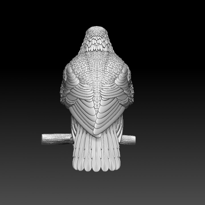 eagle