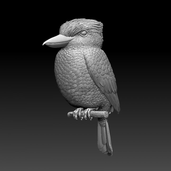 Blue Winged Kookaburra