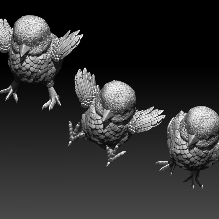 chick