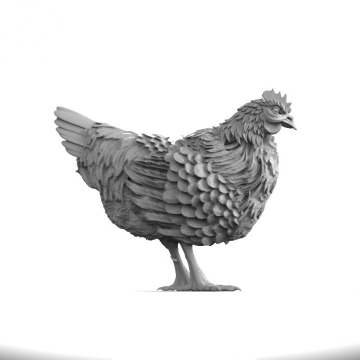 Hen