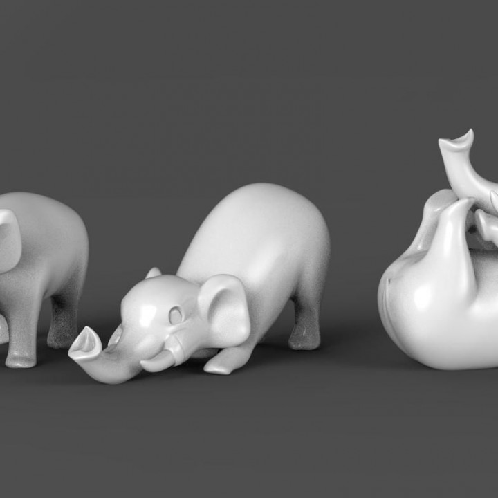 elephant
