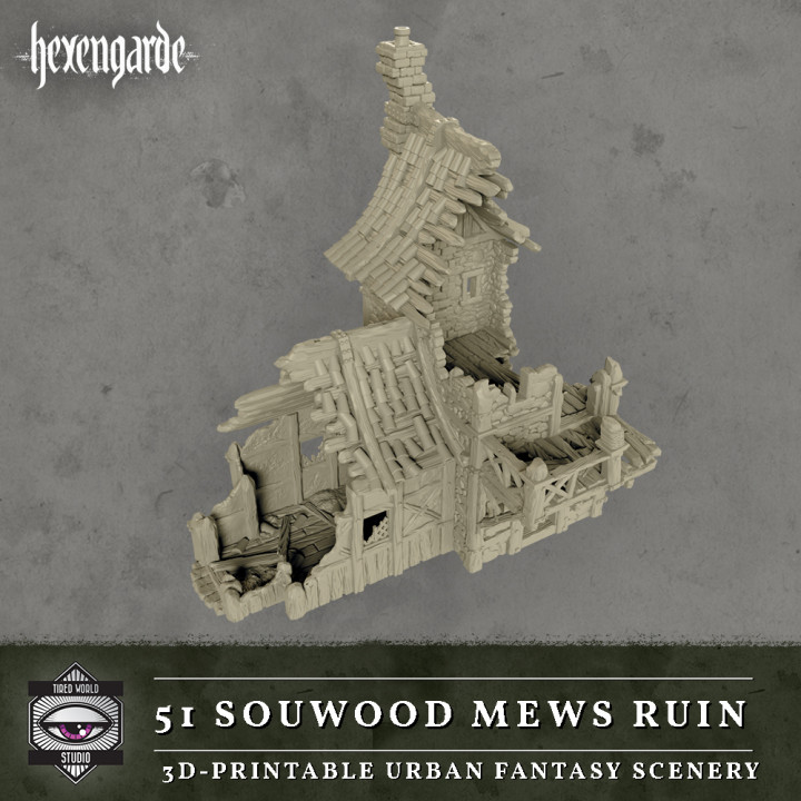 51 Sourwood Mews Ruin image