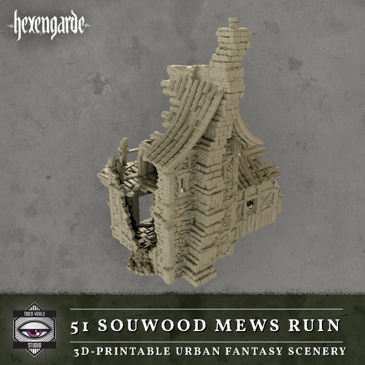 51 Sourwood Mews Ruin image