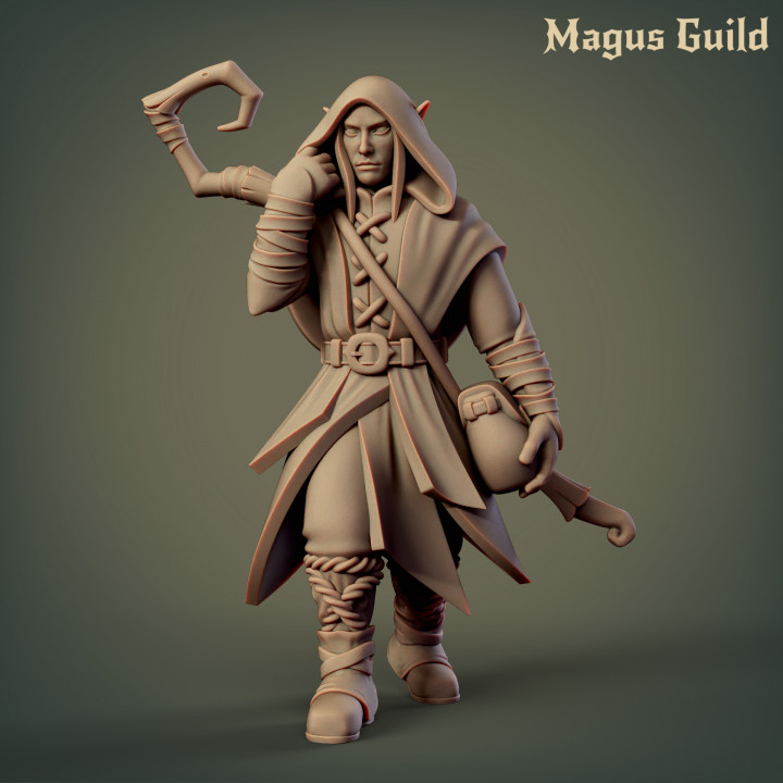 Wood Elf Druid - MG1.5 image