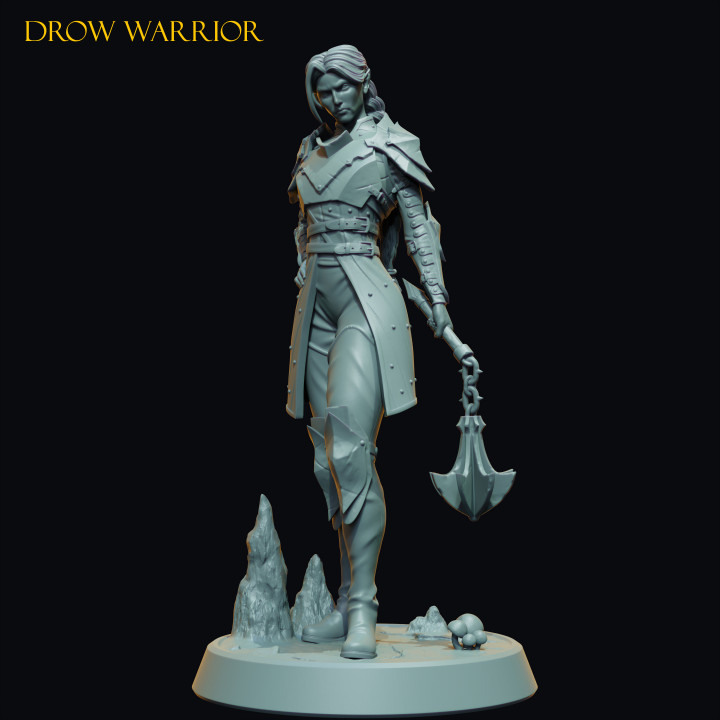 Drow Warrior image