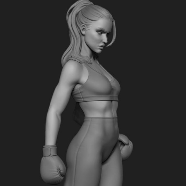The Boxer Girl - Full Figure & Bust image