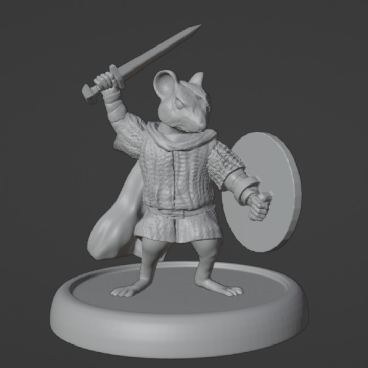 Rogue mouse warrior image