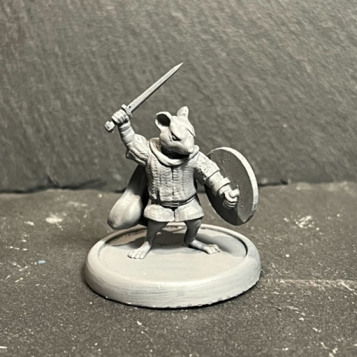Rogue mouse warrior image